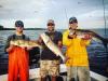 Anna Maria Island Fishing Guide.JPG